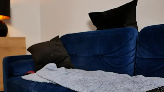 BellaBlush03 online show from February 20, 8:22 pm