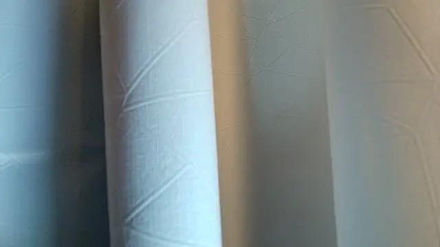 LilyFox t online show from November 11, 1:28 pm