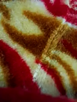 sangeeta lodhi online show from November 28, 6:08 pm