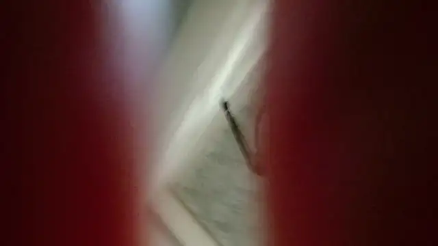 Natali-Gucci online show from November 12, 10:02 pm