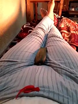 Tota sexi online show from December 4, 11:31 am