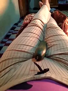 Tota sexi online show from November 30, 12:06 pm