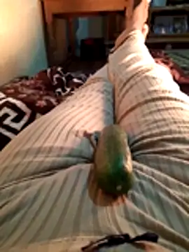 Tota sexi online show from November 28, 10:48 am