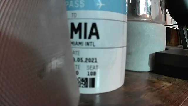 Chrisatmiami online show from November 12, 4:33 pm