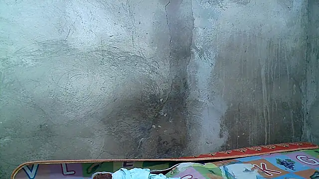 xwindyxxx online show from November 27, 1:17 am