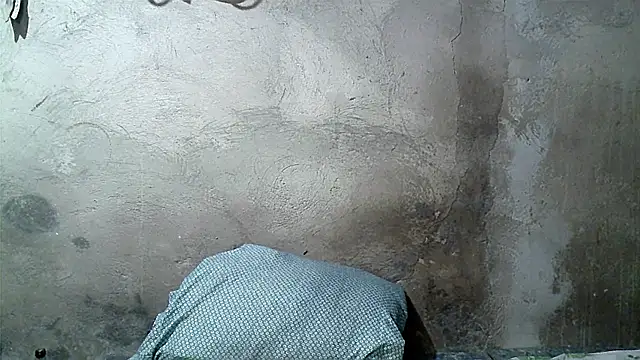 xwindyxxx online show from March 7, 9:27 am