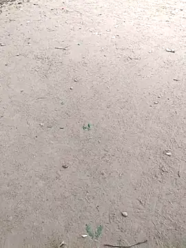 summa renu online show from November 14, 7:23 am