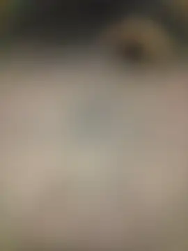 piggylatino online show from February 2, 6:01 am