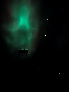 arcacsel online show from November 24, 10:54 pm