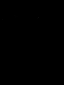 arcacsel online show from March 12, 10:36 pm