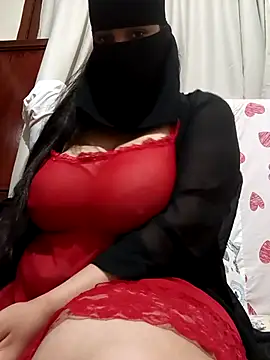 Snapshot of houda-ha chatting on November 14, 11:30 pm houda-ha online show from November 14, 11:30 pm