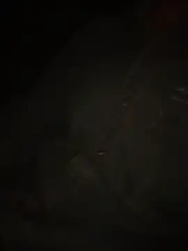 Snapshot of Dihotbi chatting on November 25, 12:55 am Dihotbi online show from November 25, 12:55 am