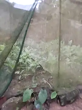 gugu0022 online show from February 25, 11:26 pm