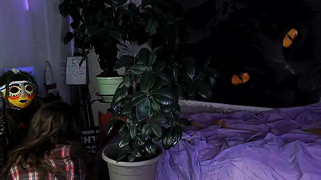 Personal Bulldozer online show from December 1, 1:34 pm