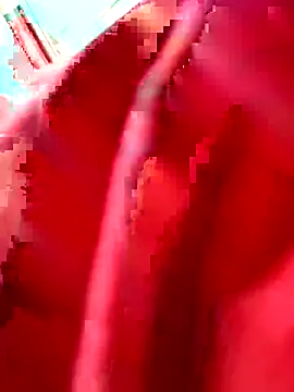 julianlondo111 online show from February 24, 6:53 pm