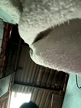 Snapshot of MEFUN- chatting on January 9, 9:27 am MEFUN- online show from January 9, 9:27 am