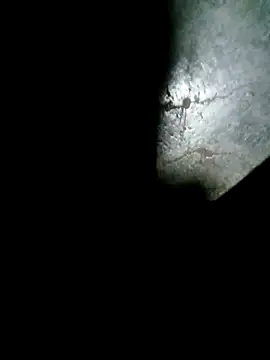 raju423204 online show from February 15, 1:06 am