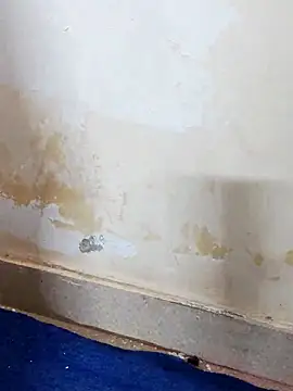 Asha devi90 online show from April 12, 3:59 pm