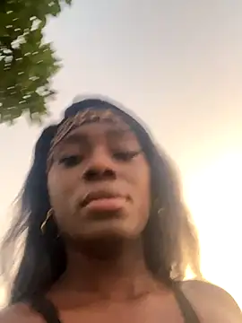 zyrastorm online show from November 30, 11:05 pm