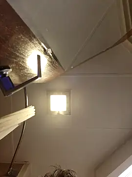 Mikey40wv online show from February 19, 4:09 am