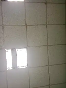 platone09 online show from January 16, 1:59 pm