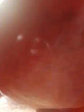 Ratacrocante online show from December 19, 8:55 pm