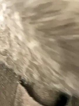 yiyi0316 online show from November 28, 5:29 am