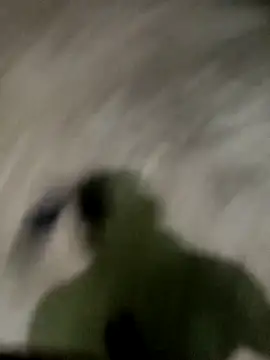 Snapshot of spermc chatting on November 27, 4:18 pm spermc online show from November 27, 4:18 pm