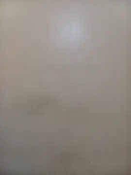 StormzyLeila online show from December 1, 4:02 am