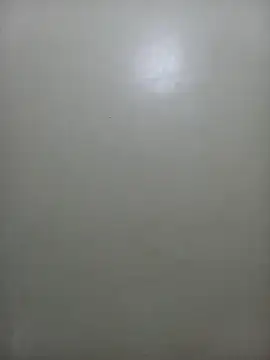 StormzyLeila online show from November 27, 7:25 pm