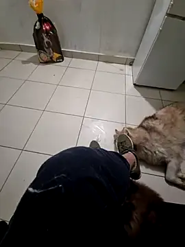 RITAEGIH online show from March 2, 8:05 pm