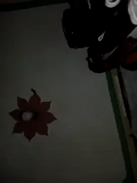 honeypot224 online show from March 15, 3:57 am