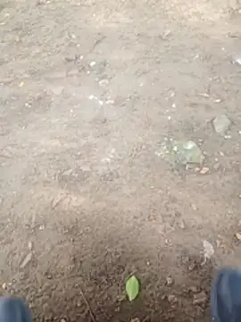 Jeison0323 online show from January 9, 8:49 pm