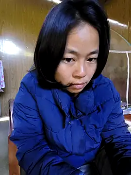 Cat-meow online show from November 29, 2:01 am