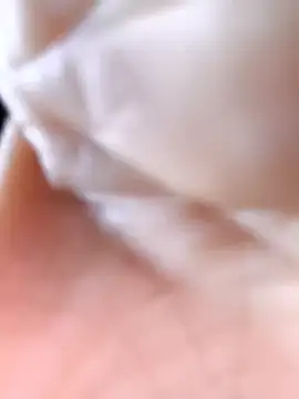 Cat-meow online show from November 25, 2:45 am