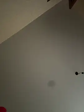 Anoraaa8A online show from January 13, 11:14 am