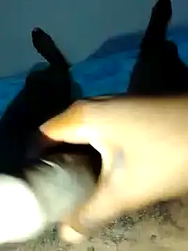dicksosmall online show from November 21, 7:13 pm