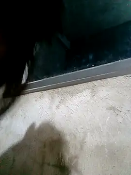 Snapshot of Ava-120 chatting on February 17, 3:09 pm Ava-120 online show from February 17, 3:09 pm