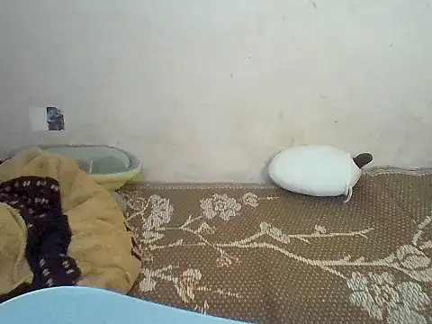 Janebaby99 online show from November 20, 3:12 pm