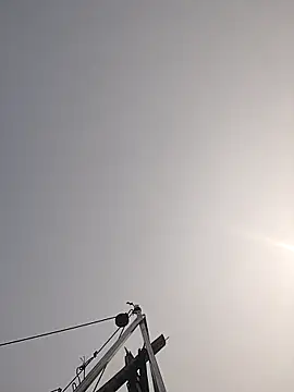 Cover-baa online show from March 27, 7:39 am