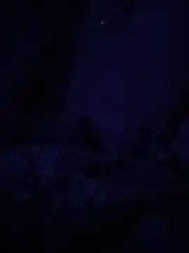 starnighcouple online show from June 8, 5:35 pm