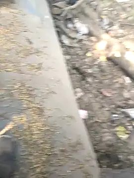 Playboy pune  online show from November 26, 9:09 am