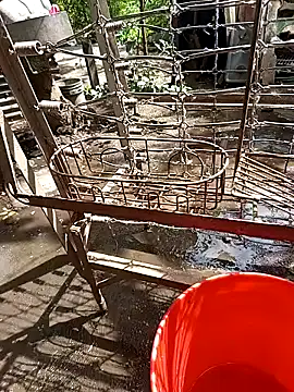 juunioreest online show from November 25, 5:35 pm