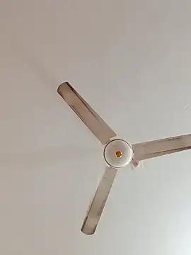 Snapshot of rupamim chatting on December 22, 11:54 am rupamim online show from December 22, 11:54 am