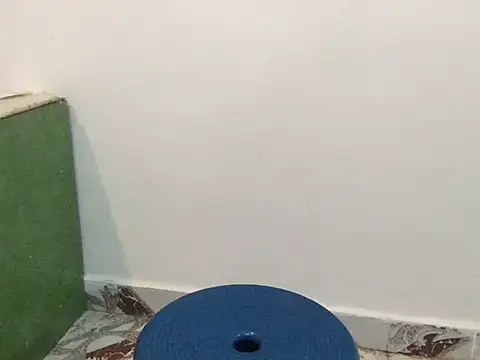 raveena hot online show from March 8, 1:25 pm