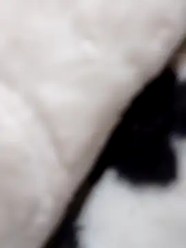 fati35flou online show from December 21, 6:42 pm