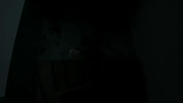 sahara paker online show from April 14, 9:42 pm