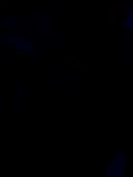 cutestpearl online show from January 13, 4:44 pm