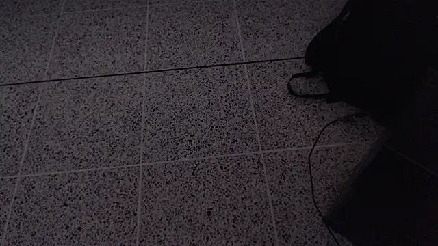 Dio  morningstar online show from April 13, 12:20 pm