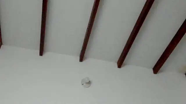 Dio  morningstar online show from February 8, 9:34 pm